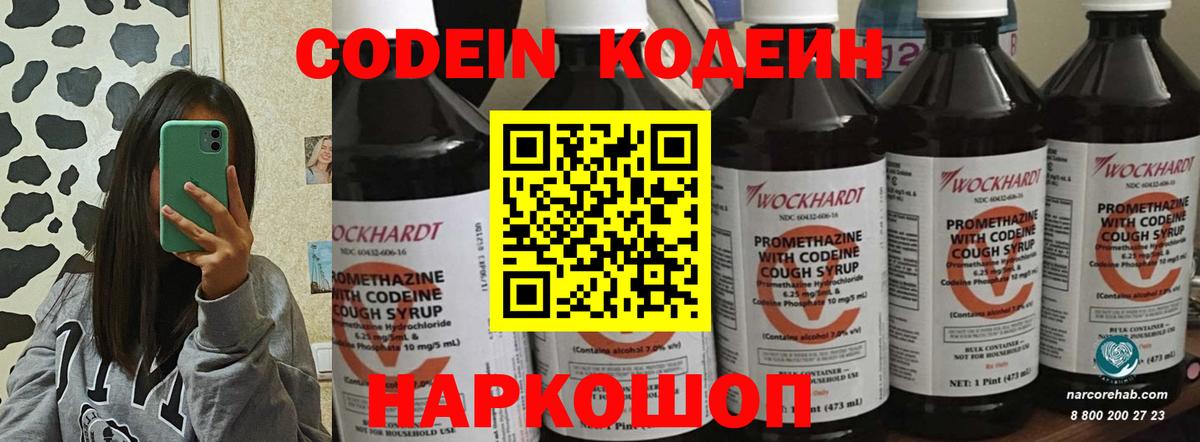 Новокубанск  сколько стоит  Кодеин Purple Drank  Вход с VPN  Codein Purple Drank 