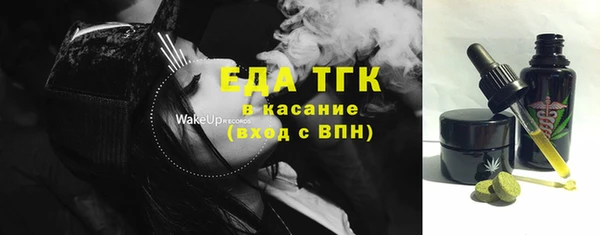 индика Алексин