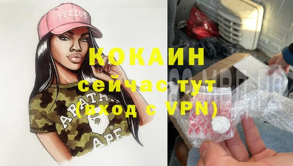 индика Алексин