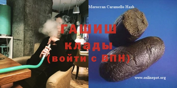 индика Алексин
