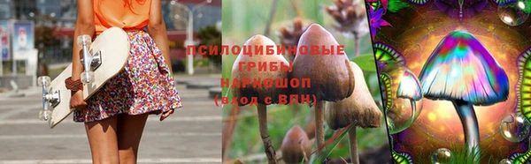 индика Алексин