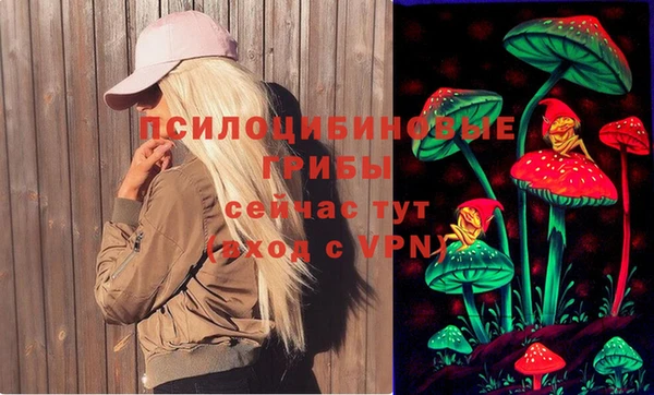 ALPHA PVP Алексеевка