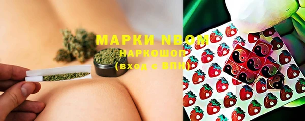 индика Алексин