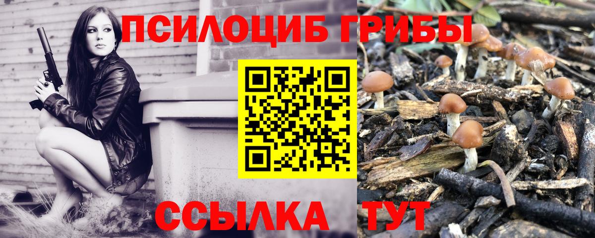 Галлюциногенные грибы Cubensis  Псилоцибиновые грибы Magic Shrooms  Вход с VPN  Новокубанск 