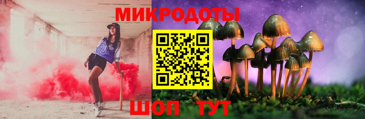 Галлюциногенные грибы мицелий Новокубанск