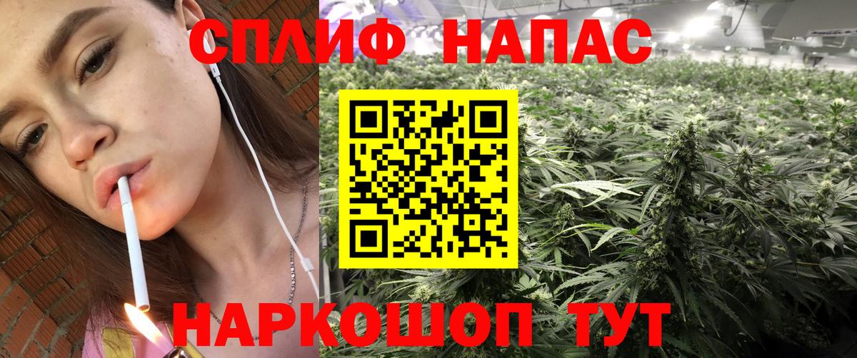 Каннабис план  Бошки марихуана ГИДРОПОН  Канабис планчик  Новокубанск  Канабис семена  Вход с VPN 